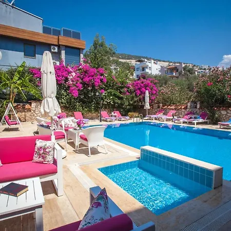 Papermoon & Kalkan
