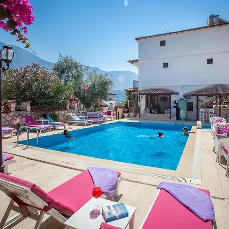 Papermoon & 公寓式酒店 4*