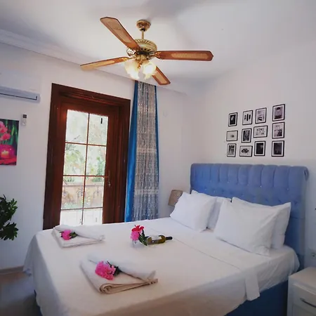 Papermoon & 4* Kalkan