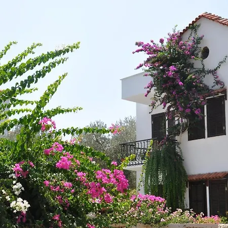 Papermoon & 4* Kalkan