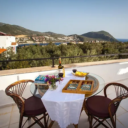 Papermoon & Kalkan