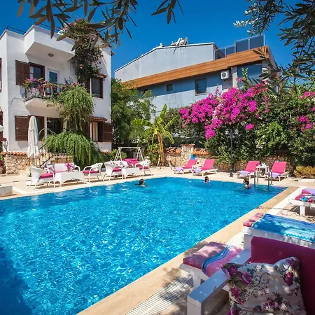 Papermoon & 3* Kaş