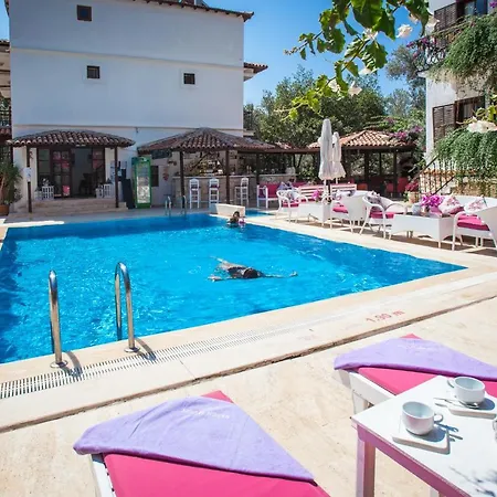Papermoon & 3* Kaş
