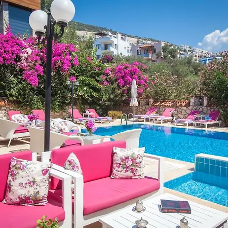 מלון דירות Papermoon & 4*