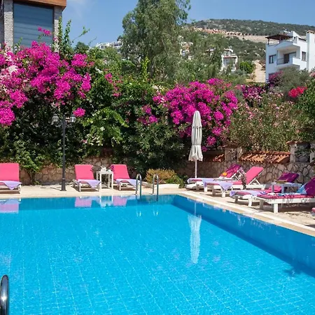 아파트호텔 Papermoon &