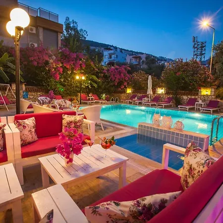 Papermoon & 4* 카스