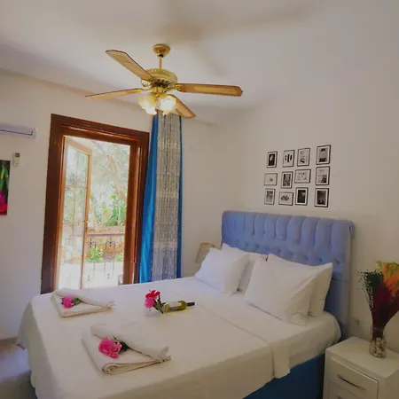 Papermoon & Kalkan